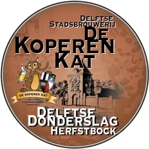 Delftse Donderslag